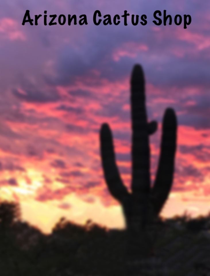 Estate Sale Liquidation -Antiques, Vintage, Collectibles, Jewelry, Sculptures, Glassware, China