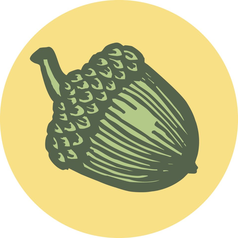 Green Acorn Online Sale - Greer near 14 and Mt. Lebanon Rd