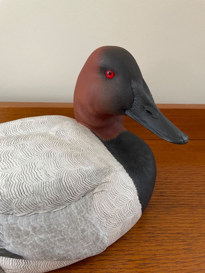 60% Off ONLINE ONLY Estate Sale - Eclectic Mix Including Art, Furniture, Rugs, Decoys and Birds