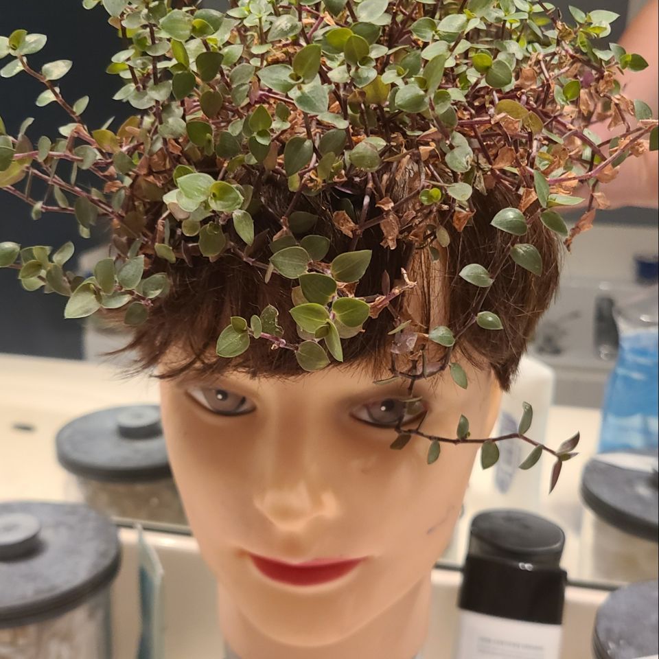 Finding Joy Estate Sale