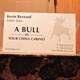 A Bull In Your China Closet Logo