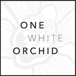 One White Orchid