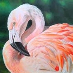 Flamingo Road Logo