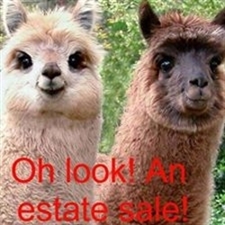 The Nest Estate Sale Services Logo