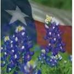 Bluebonnet Estate Sales