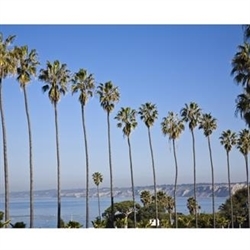Socal Estate Sale Services Logo