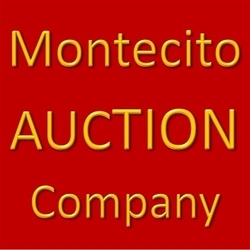 Montecito Auction Company Logo