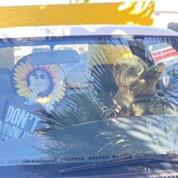 Fast Estate Sales Logo