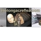 The Longacre Flea Logo