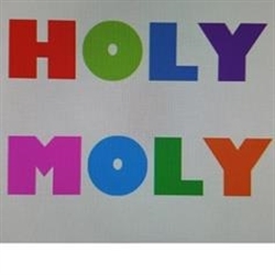 Holy Moly Estate Sales Logo