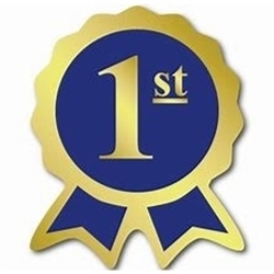 null Logo