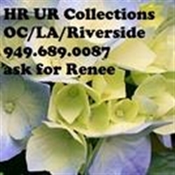 Hr Ur Collections