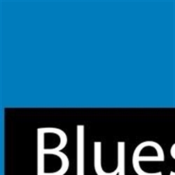 Bluestem Estate Sales Logo