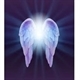 Angels Everywhere in AZ Logo