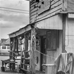 Southern Grace (dickson) Logo