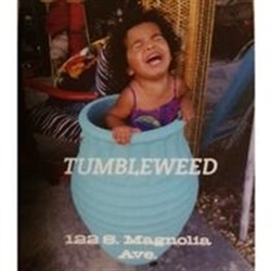 Tumbleweed Trading Co. Logo