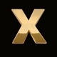 Bng Treasure, Inc. Logo
