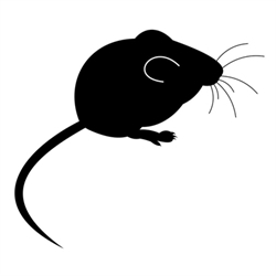 Country Mouse Antiques Logo