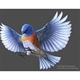 Blu Bird Estate And Auctions Logo