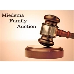 Miedema Family Auction