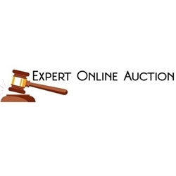 Expert Online Auction Logo