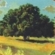 Affinity Estate Services Logo