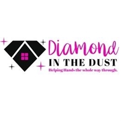 Diamond In The Dust LLC Logo