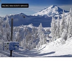 Pacific Rim Estate Services Logo