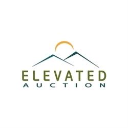 Elevated Auction And Resale