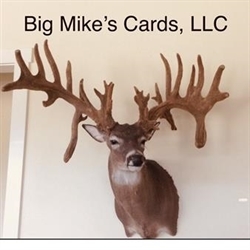 Big Mikes Logo