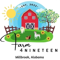 Farm 4 Nineteen Logo