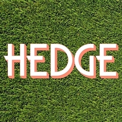 Hedge Auctions