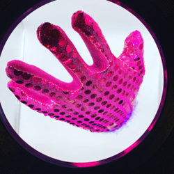 Stacey’s Estate Sales Logo