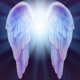 Angels Everywhere In Az ! Logo