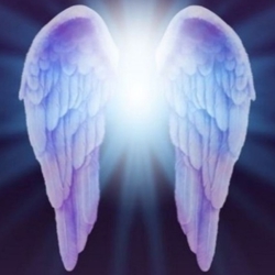 Angels Everywhere In Az ! Logo