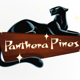 Panthera Pines Logo