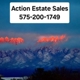 Action Estate Sales, Appraisals & Auctions, LLC Logo