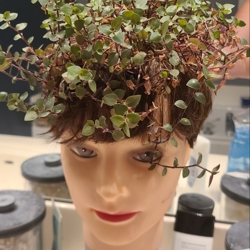 Finding Joy Estate Sales