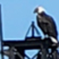 R&d Estate Liquidation Logo