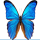 Betty Jean Estate Sales Logo