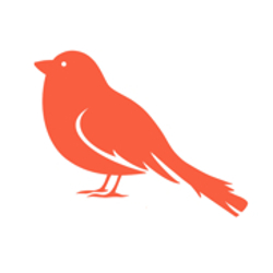 House Finch