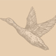 Avery's Estate Sales Logo