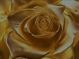 Ennoble Estate Sales LLC Logo