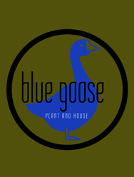 Blue Goose