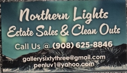 Anthony Crawn Northern Lights-quicksilver