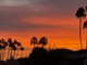 Transformational Consulting LLC Dba Desert Estate Sales Logo