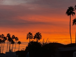 Transformational Consulting LLC Dba Desert Estate Sales Logo