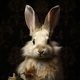 White Rabbit Estate Sales Logo