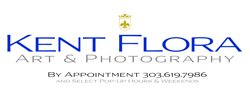 Knockout Creative LLC Logo