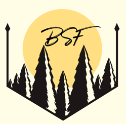 Bright Side Flips Logo